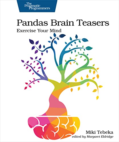 Pandas Brain Teasers Exercise Your Mind [Paperback]