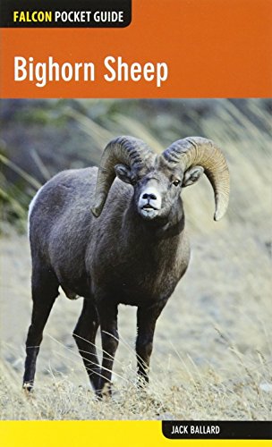 Bighorn Sheep [Paperback]