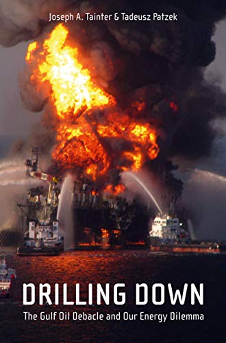 Drilling Down: The Gulf Oil Debacle and Our Energy Dilemma [Paperback]