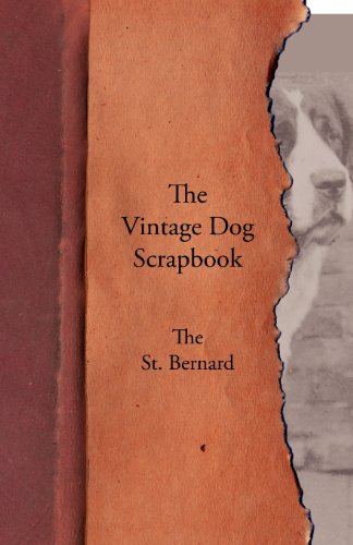 Vintage Dog Scrapbook - the St Bernard [Paperback]