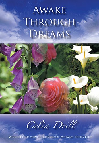 Aake Through Dreams [Paperback]