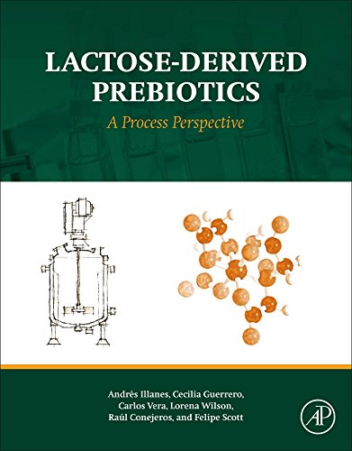 Lactose-Derived Prebiotics A Process Perspective [Hardcover]