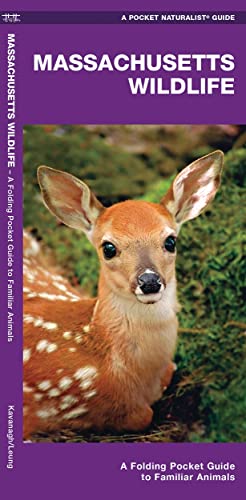 Massachusetts Wildlife: A Folding Pocket Guide to Familiar Animals [Pamphlet]