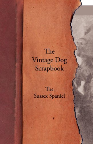 Vintage Dog Scrapbook - the Sussex Spaniel [Paperback]