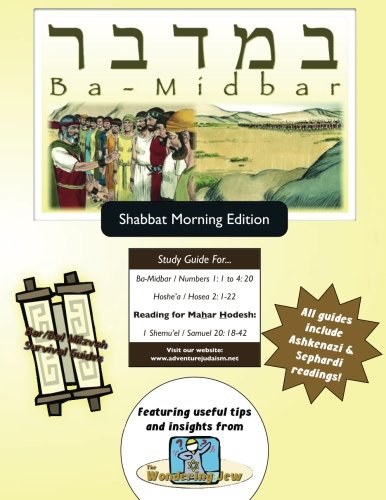 Bar/bat Mitzvah Survival Guides Bamidbar (shabbat Am) [Paperback]