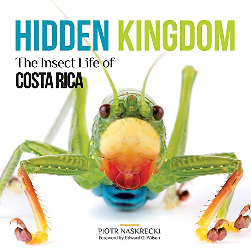 Hidden Kingdom: The Insect Life Of Costa Rica