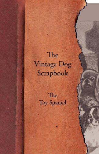 Vintage Dog Scrapbook - the Toy Spaniel [Paperback]