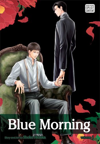 Blue Morning, Vol. 1 [Paperback]