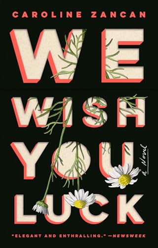 We Wish You Luck: A Novel [Paperback]