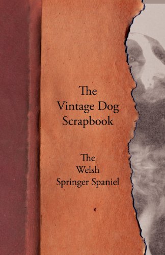 Vintage Dog Scrapbook - the Welsh Springer Spaniel [Paperback]