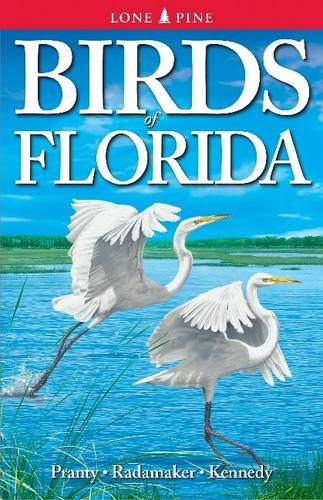 Birds Of Florida [Paperback]