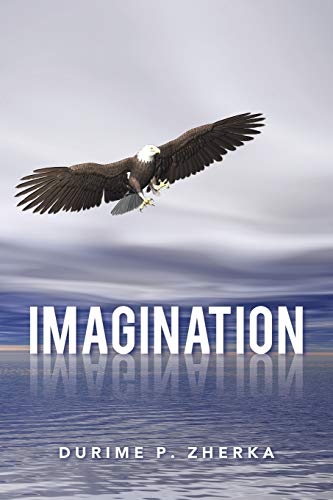 Imagination [Paperback]