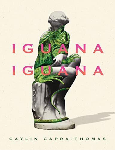 Iguana Iguana [Paperback]