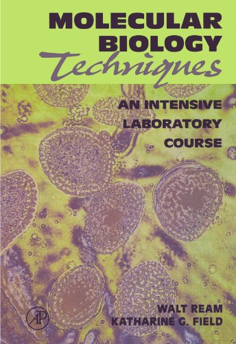 Molecular Biology Techniques An Intensive Laboratory Course [Paperback]