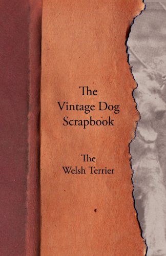 Vintage Dog Scrapbook - the Welsh Terrier [Paperback]