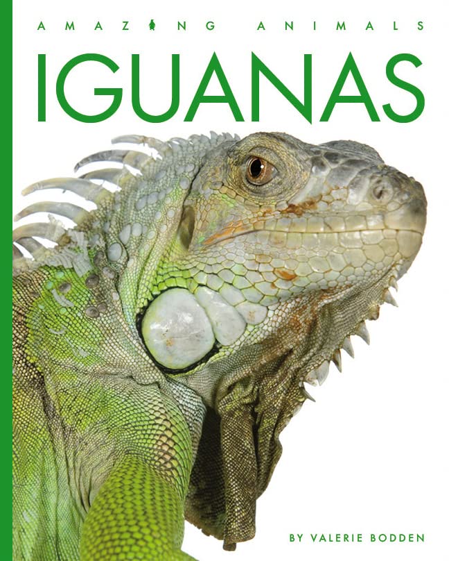 Iguanas [Paperback]