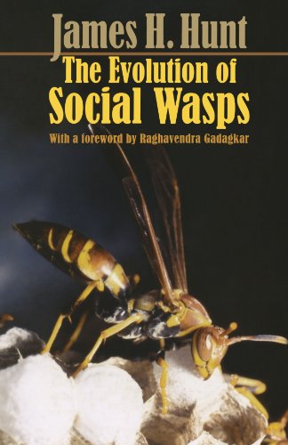 The Evolution of Social Wasps [Paperback]