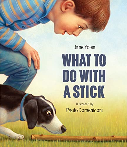 What to Do with a Stick [Paperback]