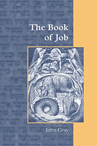 The Book Of Job [Paperback]