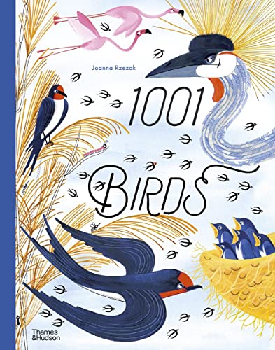 1001 Birds [Hardcover]