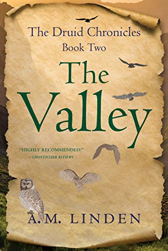 The Valley: The Druid Chronicles, Book Two [Paperback]