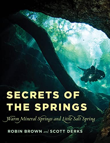 Secrets of the Springs: Warm Mineral Springs and Little Salt Spring [Paperback]