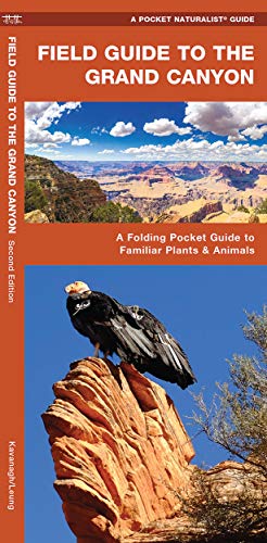 Field Guide to the Grand Canyon: A Folding Pocket Guide to Familiar Plants & [Pamphlet]