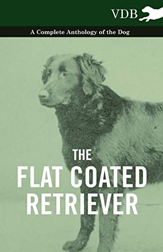 The Flat Coated Retriever - A Complete Anthology Of The Dog [Paperback]