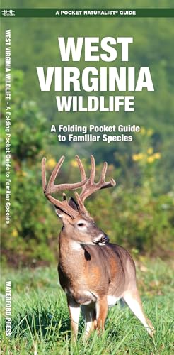 West Virginia Wildlife: A Folding Pocket Guide to Familiar Species [Pamphlet]