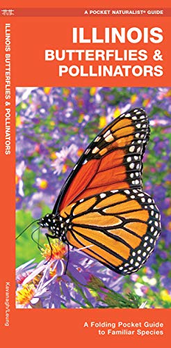 Illinois Butterflies & Pollinators: A Folding Pocket Guide to Familiar Speci [Pamphlet]