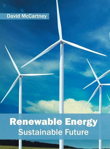 Reneable Energy Sustainable Future [Hardcover]