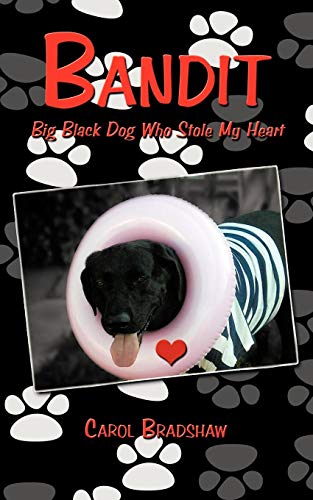 Bandit Big Black Dog Who Stole My Heart [Paperback]