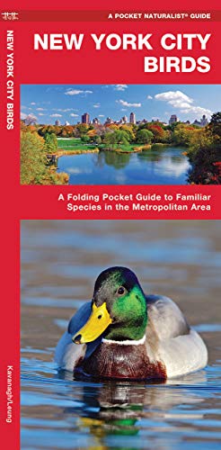 New York City Birds: A Folding Pocket Guide to Familiar Species in the Metropoli [Pamphlet]