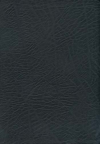 NASB, MacArthur Study Bible, Large Print, Bonded Leather, Black, Indexed [Leather / fine bindi]