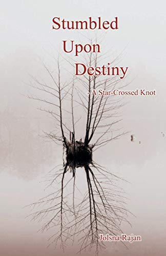 Stumbled upon Destiny [Paperback]