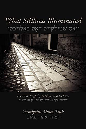 What Stillness Illuminated Poems in English, Yiddish, and Hebre [Paperback]