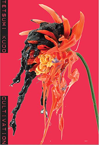 Tetsumi Kudo: Cultivation [Paperback]