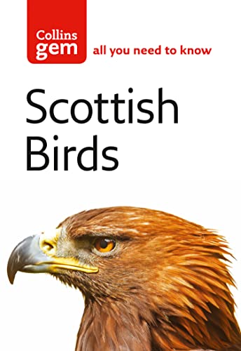 Scottish Birds [Paperback]