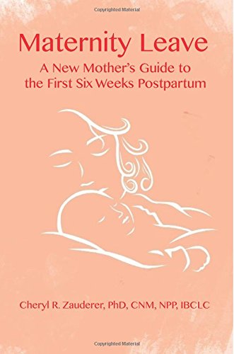 Maternity Leave A Ne Mother's Guide To The First Six Weeks Postpartum [Paperback]