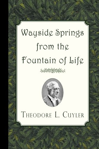 Wayside Springs From The Fountain Of Life [Paperback]