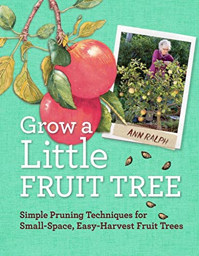 Grow a Little Fruit Tree: Simple Pruning Tech