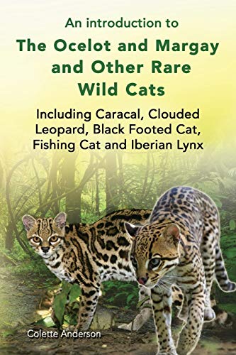 An Introduction To The Ocelot And Margay And Other Rare Wild Cats Including Cara [Paperback]