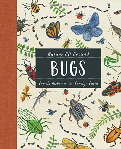 Nature All Around: Bugs [Hardcover]