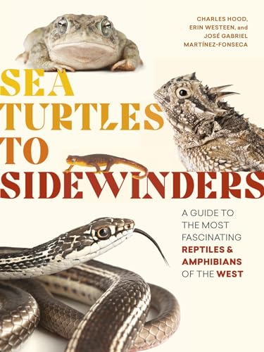 Sea Turtles to Sidewinders: A Guide to the Most Fascinating Reptiles and Amphibi [Paperback]