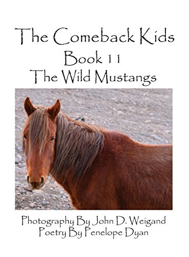 The Comeback Kids--Book 11--The Wild Mustangs [Hardcover]