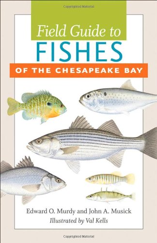 Field Guide To Fishes Of The Chesapeake Bay [Paperback]