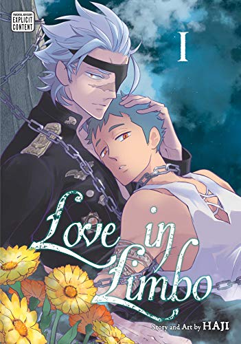 Love in Limbo, Vol. 1 [Paperback]