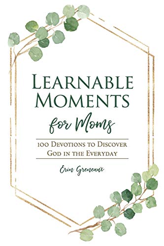 Learnable Moments for Moms  100 Devotions to Discover God in the Everyday [Paperback]