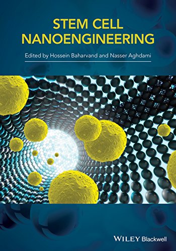 Stem-Cell Nanoengineering [Hardcover]