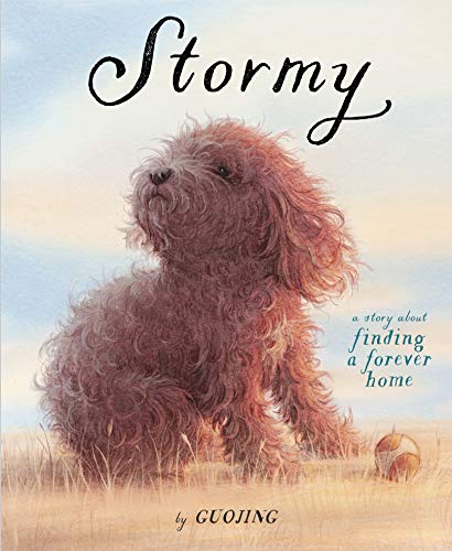 Stormy: A Story About Finding a Forever Home [Hardcover]